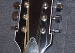 Washburn mandolin price drop