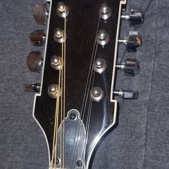 Washburn mandolin price drop
