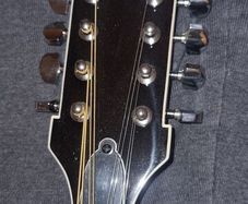 mandolin