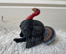 Schleich 13900 Turkey approx. 7 cm Series Wild Animals Used Please see photos