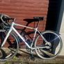 Giant Liv Avail 3 Womens Roadbike - purple & silv Image 7