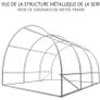Polytunnel Greenhouse 3x3x2m 9m Squared Poly Tunnels Gardening Walk In Pollytunnel Tent with Steel Frame (FREE POSTAGE) Image 3