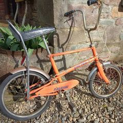 Raleigh chipper