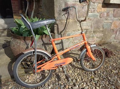 Raleigh chipper