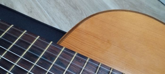 Giannini AWN-31 Bossa Nova guitar
