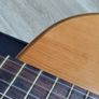 Giannini AWN-31 Bossa Nova guitar Image 10