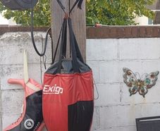 punch / kick bag