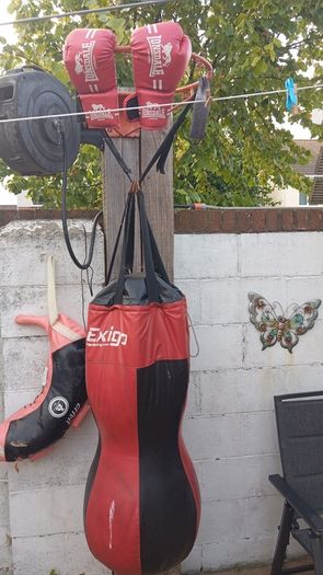 punch / kick bag