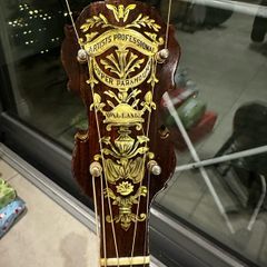 Super Paramount Artists Professional Tenor banjo