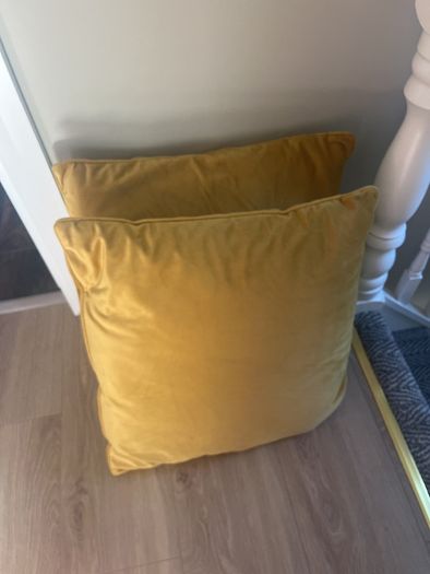 Mustard cushions