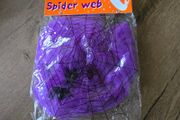 Purple spiderweb Halloween