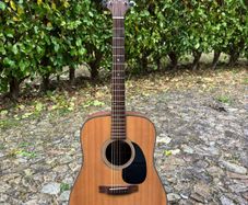Takamine G320-NS