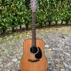 Takamine G320-NS