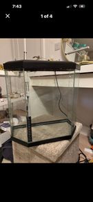 fish tank