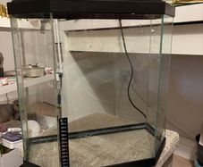 fish tank