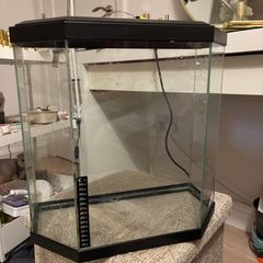 fish tank
