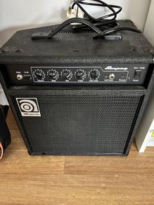 Electric bass guitar