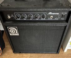 Electric bass guitar