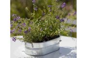 Farmington Trough Small  Galvanised Steel GT18