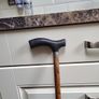 Walking stick Image 3