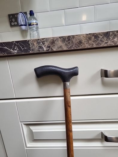 Walking stick