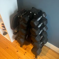 dumbells, rack and bench