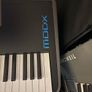 Yamaha Modx 8 Image 3