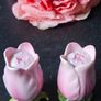 Vintage Rare Tulips Salt and Pepper Shakers Image 2