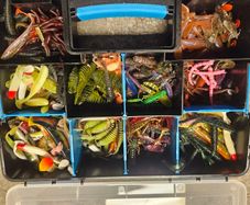 Fishing Lures