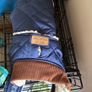 dog crate Image 10