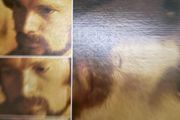 Van Morrison vinyl lp