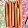 Traditional Japanese Color Name Colored Pencils Set of 12 Image 6
