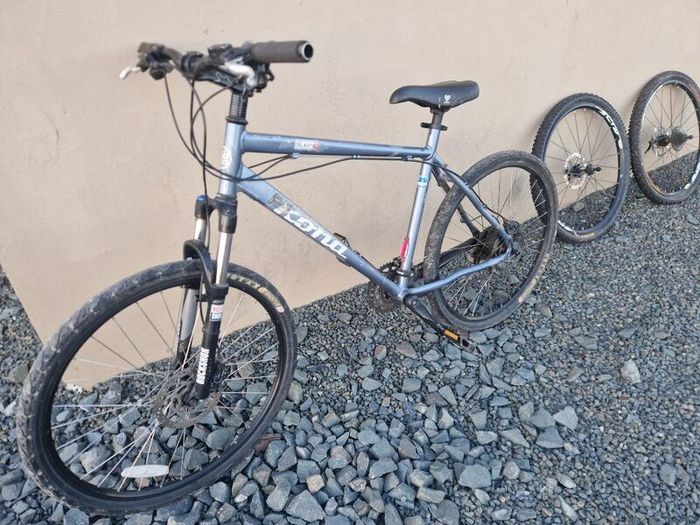 Adult bike with universal wheels
