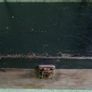 Antique Merchants Box Wood Art Deco Image 2