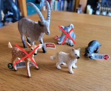 Schleich Animals - Wild life