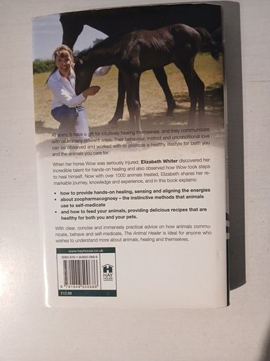The Animal Healer by Elizabeth Whiter
