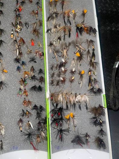 Fly Collection