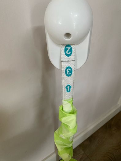 fisher price  baby jumper