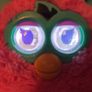 furby Image 2