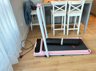 Treadmill walker