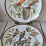 2 Decorative Plates "Songbirds of The World" Bohemian Waxwing And Baltimore Oriole Image 2