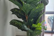 Large Aritficial Indoor Plant