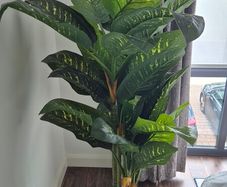 Large Aritficial Indoor Plant