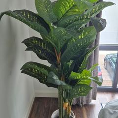 Large Aritficial Indoor Plant
