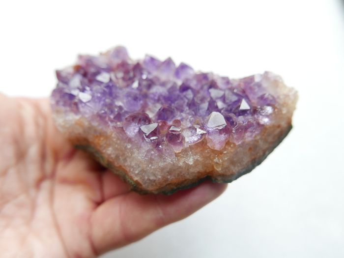 Natural Amethyst Geode Quartz Crystal Cluster
