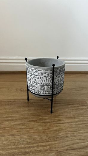 Peperomia Plant with Decorative Pot and Stand