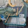 New Parrot/bird Cage Starter Kit + Tons of Accessories Image 2
