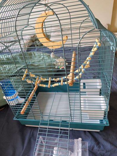 New Parrot/bird Cage Starter Kit + Tons of Accessories