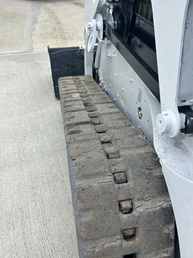 Bobcat