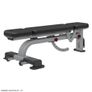 Nautilus Multi Adjustable Benches Image 4